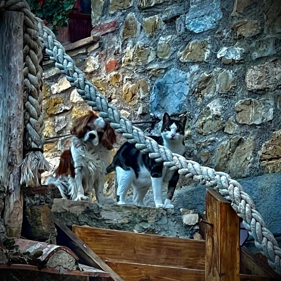 Camere Vecchia Fonte Campiglia Marittima Buitenkant foto