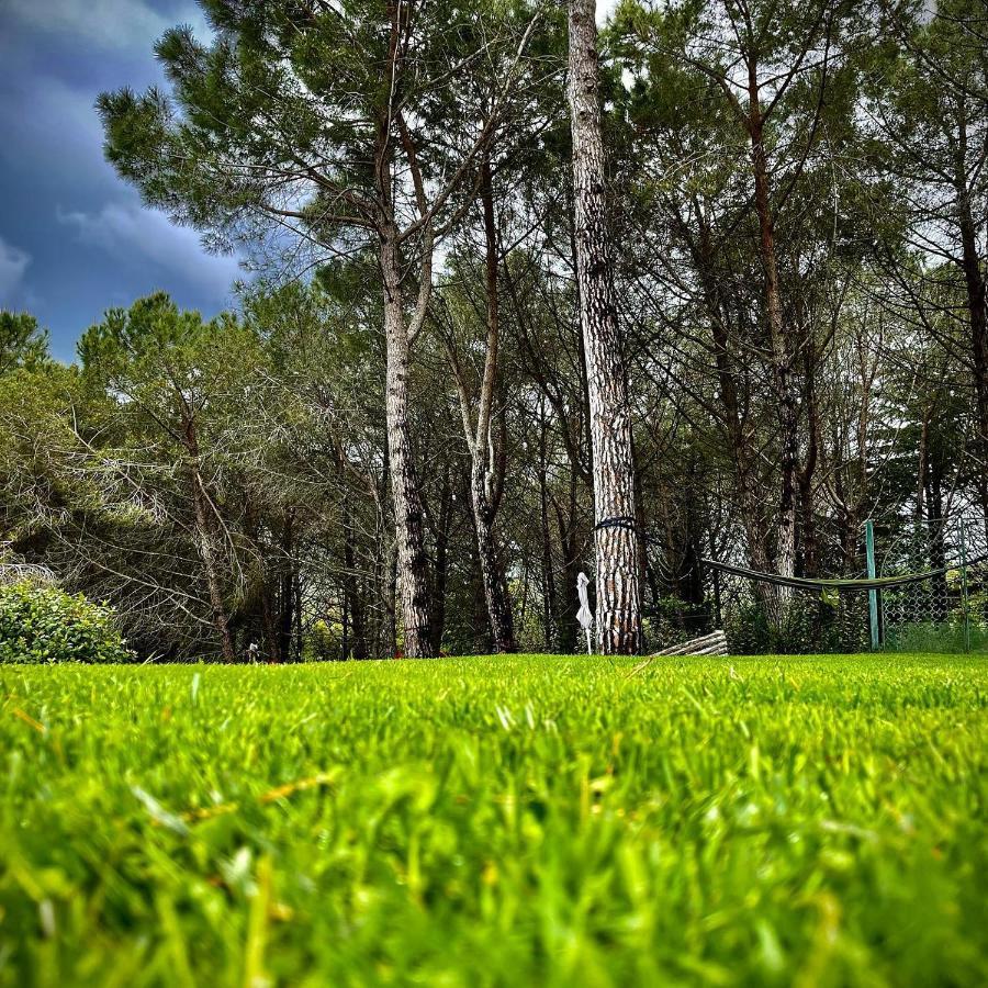 Camere Vecchia Fonte Campiglia Marittima Buitenkant foto