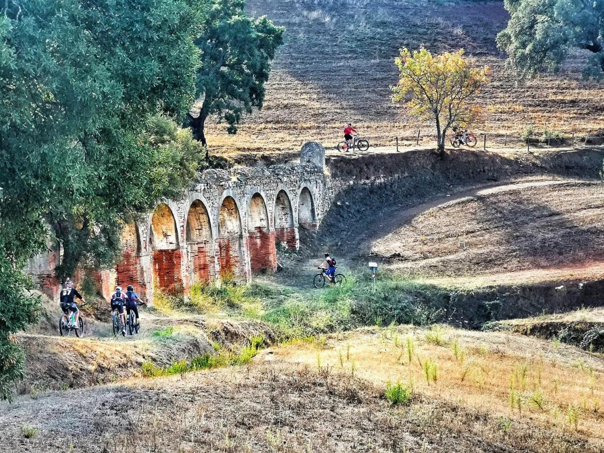 Camere Vecchia Fonte Campiglia Marittima Buitenkant foto